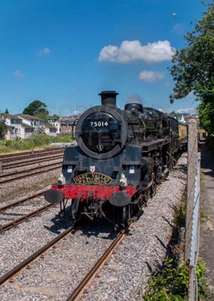 Purchase photo of 75014 BRAVEHEART at Goodrington
