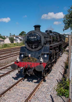Purchase photo of 75014 BRAVEHEART at Goodrington