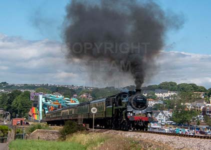 Purchase photo of 75014 BRAVEHEART at Goodrington