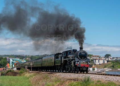 Purchase photo of 75014 BRAVEHEART at Goodrington