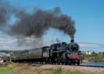 Photograph of BRAVEHEART - 75014 BRAVEHEART at Goodrington on 24/06/23