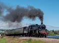 Photograph of BRAVEHEART - 75014 BRAVEHEART at Goodrington on 24/06/23
