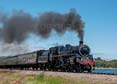 Photograph of BRAVEHEART - 75014 BRAVEHEART at Goodrington on 24/06/23
