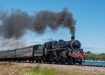 Purchase photo of 75014 BRAVEHEART at Goodrington