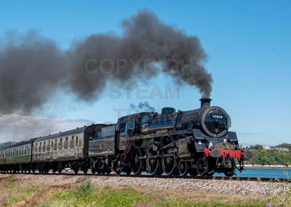 Purchase photo of 75014 BRAVEHEART at Goodrington