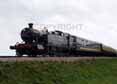 Photograph of GOLIATH - 5239 GOLIATH at Goodrington on 10/04/14