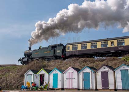 Purchase photo of 5239 GOLIATH at Goodrington