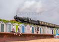 Photograph of LYDHAM MANOR - 7827 LYDHAM MANOR at Goodrington on 10/08/24