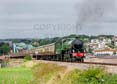 Photograph of MAYFLOWER - 61306 MAYFLOWER at Goodrington on 10/08/24