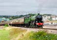 Photograph of MAYFLOWER - 61306 MAYFLOWER at Goodrington on 10/08/24