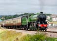Photograph of MAYFLOWER - 61306 MAYFLOWER at Goodrington on 10/08/24