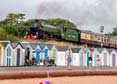 Photograph of MAYFLOWER - 61306 MAYFLOWER at Goodrington on 10/08/24
