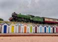 Photograph of MAYFLOWER - 61306 MAYFLOWER at Goodrington on 10/08/24
