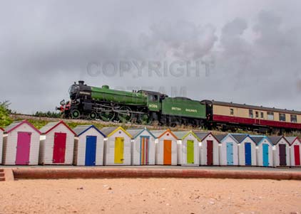 Purchase photo of 61306 MAYFLOWER at Goodrington