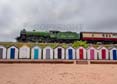 Photograph of MAYFLOWER - 61306 MAYFLOWER at Goodrington on 10/08/24
