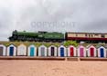 Photograph of MAYFLOWER - 61306 MAYFLOWER at Goodrington on 10/08/24