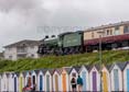 Photograph of MAYFLOWER - 61306 MAYFLOWER at Goodrington on 10/08/24