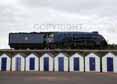 Photograph of SIR NIGEL GRESLEY - 60007 SIR NIGEL GRESLEY at Goodrington on 10/04/14
