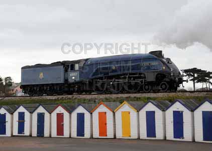 Purchase photo of 60007 SIR NIGEL GRESLEY at Goodrington