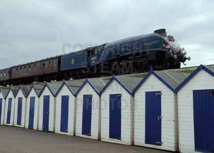 Purchase photo of 60007 SIR NIGEL GRESLEY at Goodrington