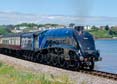 Photograph of SIR NIGEL GRESLEY - 60007 SIR NIGEL GRESLEY at Goodrington on 24/06/23