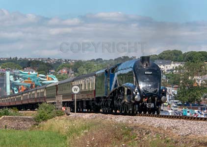 Purchase photo of 60007 SIR NIGEL GRESLEY at Goodrington
