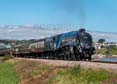 Photograph of SIR NIGEL GRESLEY - 60007 SIR NIGEL GRESLEY at Goodrington on 24/06/23