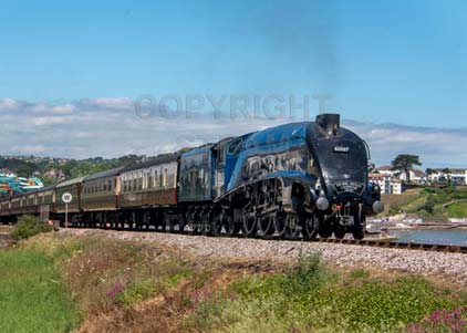 Purchase photo of 60007 SIR NIGEL GRESLEY at Goodrington