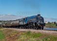 Photograph of SIR NIGEL GRESLEY - 60007 SIR NIGEL GRESLEY at Goodrington on 24/06/23