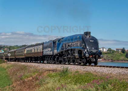 Purchase photo of 60007 SIR NIGEL GRESLEY at Goodrington