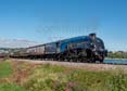 Photograph of SIR NIGEL GRESLEY - 60007 SIR NIGEL GRESLEY at Goodrington on 24/06/23