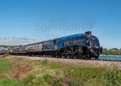 Purchase photo of 60007 SIR NIGEL GRESLEY at Goodrington
