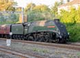 Photograph of UNION OF SOUTH AFRICA - 60009 UNION OF SOUTH AFRICA at Goring & Streatley on 25/08/18