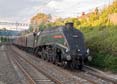 Photograph of UNION OF SOUTH AFRICA - 60009 UNION OF SOUTH AFRICA at Goring & Streatley on 25/08/18