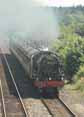 Photograph of SCOTS GUARDSMAN - 46115 SCOTS GUARDSMAN at Grateley on 09/07/10