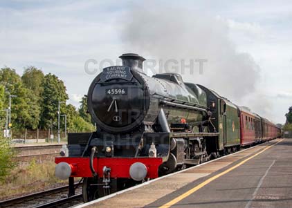 Purchase photo of 45596 BAHAMAS at Hook