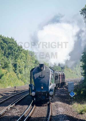 Purchase photo of 60009 UNION OF SOUTH AFRICA at Hook