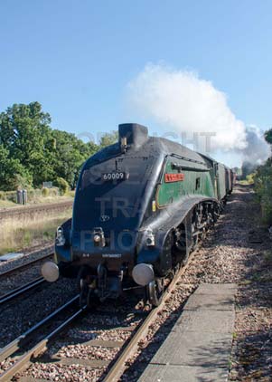 Purchase photo of 60009 UNION OF SOUTH AFRICA at Hook