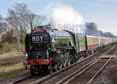 Photograph of TORNADO - 60163 TORNADO at Hook on 02/04/16