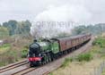 Photograph of MAYFLOWER - 61306 MAYFLOWER at Hungerford on 05/10/19