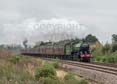Photograph of MAYFLOWER - 61306 MAYFLOWER at Hungerford on 05/10/19