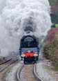 Photograph of DUKE OF GLOUCESTER - 71000 DUKE OF GLOUCESTER at Hungerford on 04/12/25