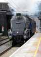 Photograph of SIR NIGEL GRESLEY - 60007 SIR NIGEL GRESLEY at London - Alexandra Palace on 06/03/14