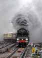 Photograph of DUKE OF GLOUCESTER - 71000 DUKE OF GLOUCESTER at London - Clapham Junction on 05/11/10
