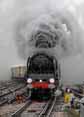 Photograph of DUKE OF GLOUCESTER - 71000 DUKE OF GLOUCESTER at London - Clapham Junction on 05/11/10