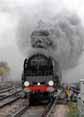 Photograph of DUKE OF GLOUCESTER - 71000 DUKE OF GLOUCESTER at London - Clapham Junction on 05/11/10