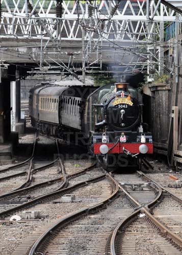 See large image
