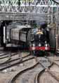 Photograph of EARL OF MOUNT EDGCUMBE - 5043 EARL OF MOUNT EDGCUMBE at London - Euston on 21/05/11