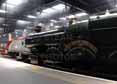 Photograph of EARL OF MOUNT EDGCUMBE - 5043 EARL OF MOUNT EDGCUMBE at London - Euston on 21/05/11