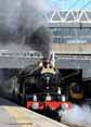 Photograph of EARL OF MOUNT EDGCUMBE - 5043 EARL OF MOUNT EDGCUMBE at London - Euston on 21/05/11